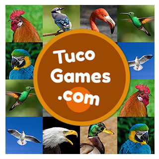 Online memory card game for adults hard level with 30 cards: Birds