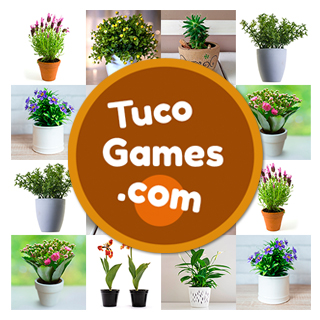 Online memotest to play for free for adults: Plant pot images