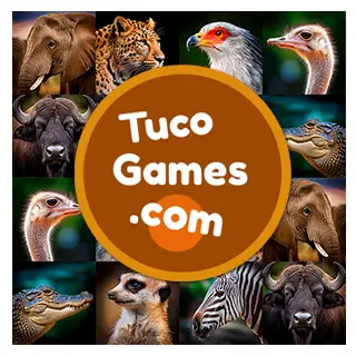 Online card matching memory games for adults and seniors: African Animals