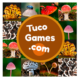 Free memotest for adults and seniors to play online: Mushroom Images